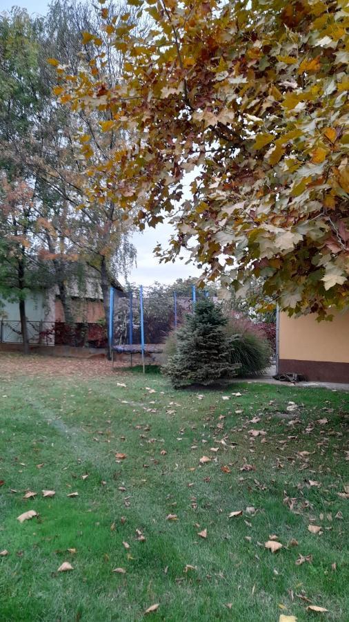 Ferienwohnung Szahara Vendeghaz Kerekegyháza Exterior foto